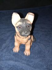 Purebred pets kathy for sale  Lafayette