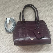 Dune burgundy berry for sale  LINCOLN