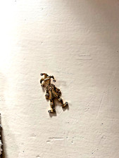 Niedlichem 4cm großen gebraucht kaufen  Butzbach