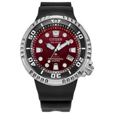 Citizen men promaster for sale  USA