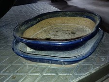 bonsaischale gebraucht kaufen bonsaischale gebraucht kaufen Tuntenhausen