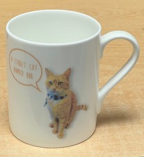 Street cat named for sale  ROYSTON