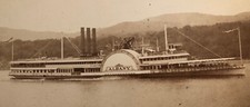 1880 large mounted for sale 1880 large mounted for sale  Novato