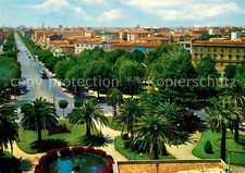 Livorno viale carducci usato  Spedire a Italy