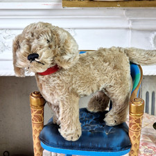 Raudi hund rotem gebraucht kaufen  Aglasterhausen