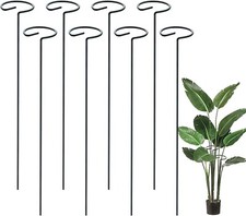 10pc spiral plant for sale  BROXBURN