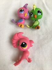 Lps cockatoo birds for sale  CHELTENHAM
