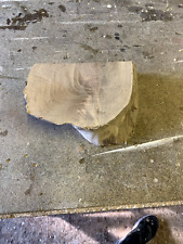 Hardwood cookie offcut for sale  WEYMOUTH