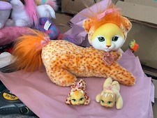 Kitty surprise orange for sale  CHEDDAR
