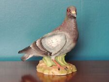 Stock dove kowa for sale  PAIGNTON