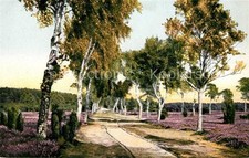 Jesteburg birkenweg im gebraucht kaufen  Deutschland