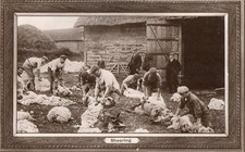 Postcard shearing boots for sale  SUTTON COLDFIELD
