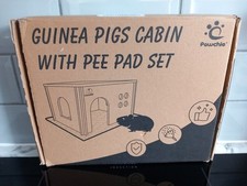 Pawchie guinea pig for sale  FRODSHAM