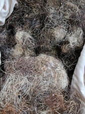 Horse hair vintage for sale Horse hair vintage for sale  BRISTOL