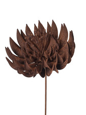 Corten steel lotus d'occasion  Expédié en Belgium