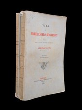 Libro vita michelangelo usato  Scarperia