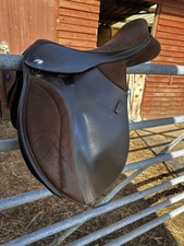 Thorowgood pony club for sale Thorowgood pony club for sale  HELSTON