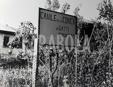 Vintage animali binasco usato  Roma