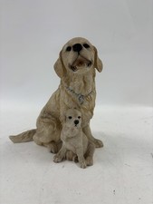 Golden retriever puppy for sale  RUGBY