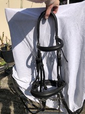 Dressurkandare inklusive 14 gebraucht kaufen  Erfurt