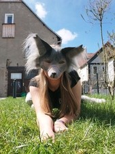 Therian maske gebraucht kaufen  Zeulenroda-Triebes