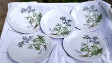 Assiettes porcelaine mobil d'occasion  Soissons