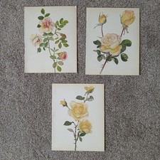 Original vintage 1965 for sale  SWINDON