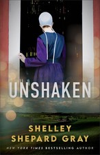 Unshaken contemporary amish for sale  Pittsburgh
