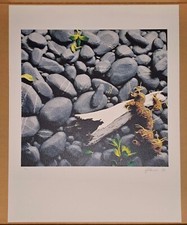 Piero gilardi serigrafia usato  Milano