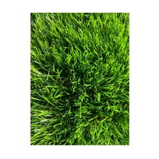 Artificiel pelouse tapis d'occasion  Expédié en France