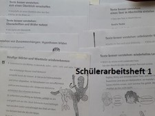 Lesetrategien texte verstehen gebraucht kaufen  Deutschland