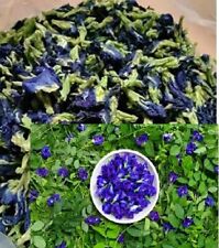 GETROCKNETE Blau Schmetterling Pea erbse Blumen Tee Clitoria ternatea comprar usado  Enviando para Brazil