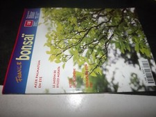 Revue bonsai acer d'occasion  Divion
