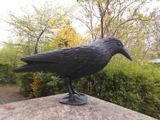 vogelschreck gebraucht kaufen  Neumünster