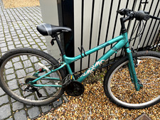 Apollo cosmo girls for sale  CAMBRIDGE