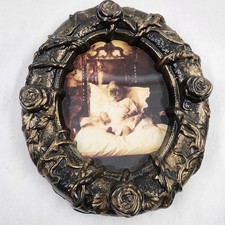Retired spirit gortraits for sale  Antioch