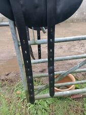 Harry dabbs dressage for sale  PWLLHELI