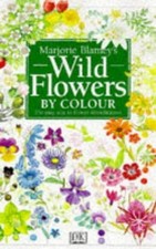 Wildflower colour blamey for sale  ROSSENDALE