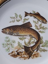 Servizio piatti pesce usato  L Aquila