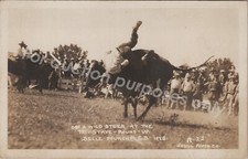 Belle fourche rppc d'occasion  Expédié en Belgium