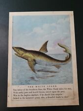 Original 1800s white for sale  Beaufort