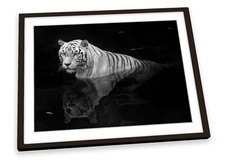 White tiger wildlife for sale  UK