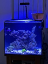 Full marine aquarium for sale  CALDICOT