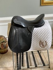 Kieffer lech dressage for sale  Mcdonough