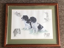Nigel hemming springer for sale  ROSS-ON-WYE