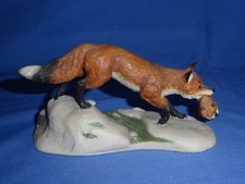 fox cub for sale fox cub for sale BURNHAM-ON-SEA