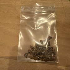 Weißtanne samen gebraucht kaufen  Feldkirchen-Westerham