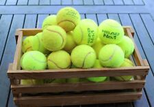 Tennisbälle gebraucht hundesp gebraucht kaufen  Waldenbuch