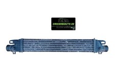 Radiatore intercooler alfa usato  Rosarno