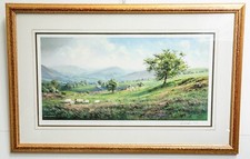 Springtime rex preston for sale  LLANDUDNO JUNCTION